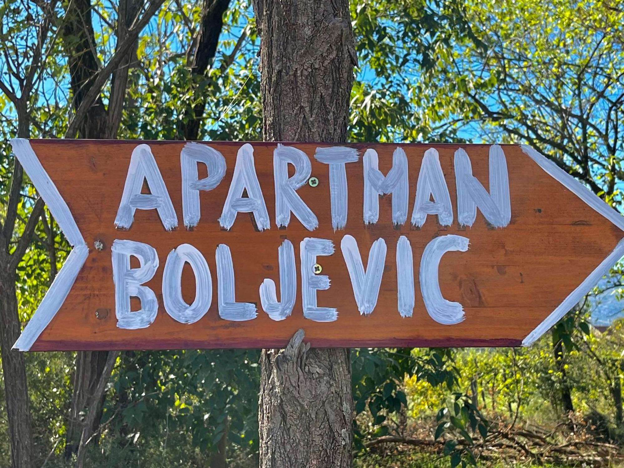 Apartman Boljevic Podgorica Extérieur photo